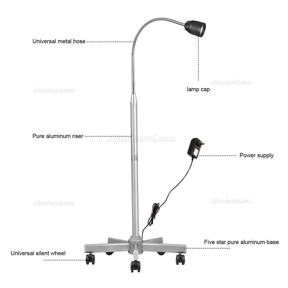 35W Dental Medical Floorstanding Exam Lamp Halogen Shadowless Examination Light